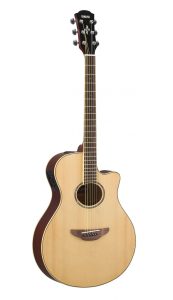 Yamaha Apx600