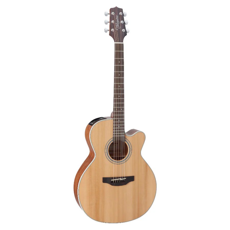 TAKAMINE GN20CE NS — foto 1