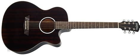 WASHBURN DFEACE — foto 1