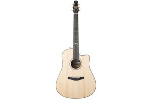 Godin Seagull Artist Mosaic CW HG EQ With BAG