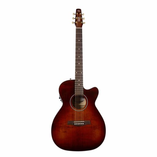 GODIN SEAGULL PERFORMER CW CH BURNT UMBER PRESYS II WITH BAG — foto 1