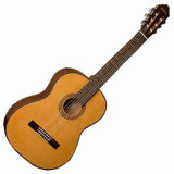 VIOLAO WASHBURN C40