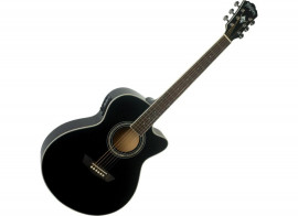 VIOLAO WASHBURN EA12B